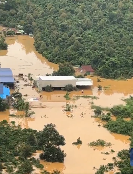 SpillingTheBean's tweet photo. The issue on how credit and financing work in Vietnam for the #coffee growers and other #KC-market players is truly fascinating David and I cannot stress enough how much i and many other followers here appreciate you sharing this with us - and yes you are SPOT-ON again, the 2nd additional MASSIVE wave of TORRENTIAL damaging rains are ONLY going to make the growing conditions WORSE and with cherry droppings and massive EXCESS humidity on top of this, and as PLENTY of pictures and videos from HIGHER LYING growing regions already have confirmed, it's not only "low lying" and isolated areas that have been it but VAST PARTS of Vietnam's Central Highlands, including the two TOP-growing provinces of Gia Lai and Dak lak, with MIN and IRREVERSIBLE LOSSES of 30% to the new crop !!