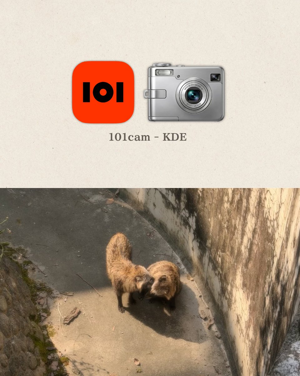 101cam_JP's tweet photo. 休日の思い出はKDEフィルターで📸

ふんわり質感で、
フィルムカメラみたいな一枚に。

-
📸 App Store > 101cam ダウンロード > KDE フィルター
-

 #101cam #日常 https://t.co/Xw9WbMBv9b
