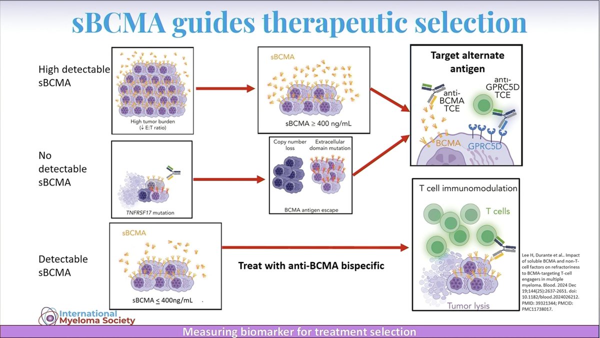 Samer Al Hadidi, MD,MS,FACP (@HadidiSamer) — #IMS26 — conference slide