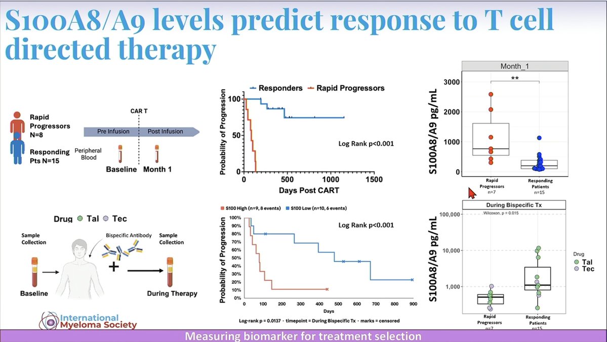 Samer Al Hadidi, MD,MS,FACP (@HadidiSamer) — #IMS26 — conference slide