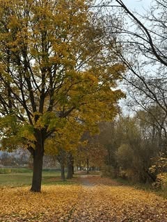 BobbyGomezpq's tweet photo. toro family DISCLAIMER: This is not Bullying and Harassment! This is just the statement/ story of what she did to me. https://t.co/JHV97n1it6