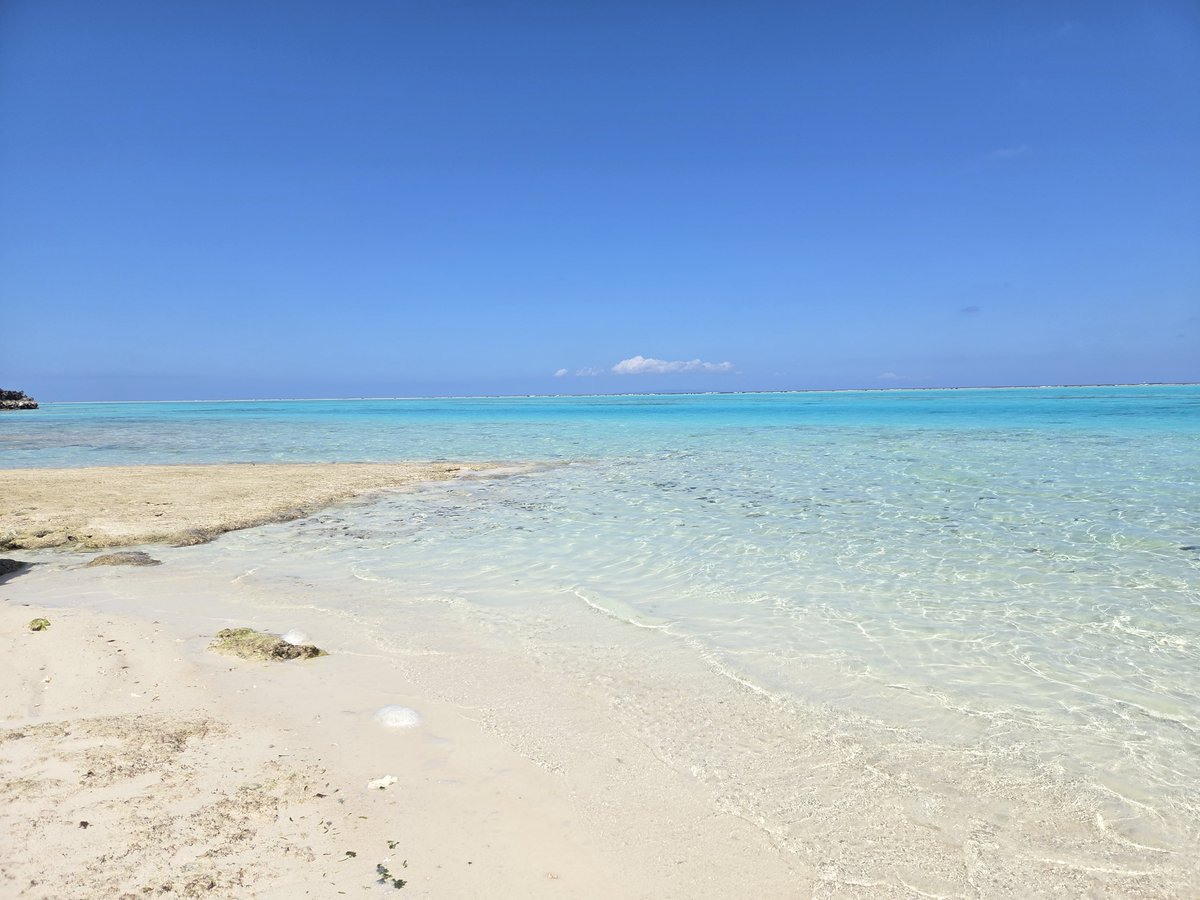 tU4qoA63fFVZC4j's tweet photo. 与論島🏝️
暑い😞💦 https://t.co/lvSg9tGEMp