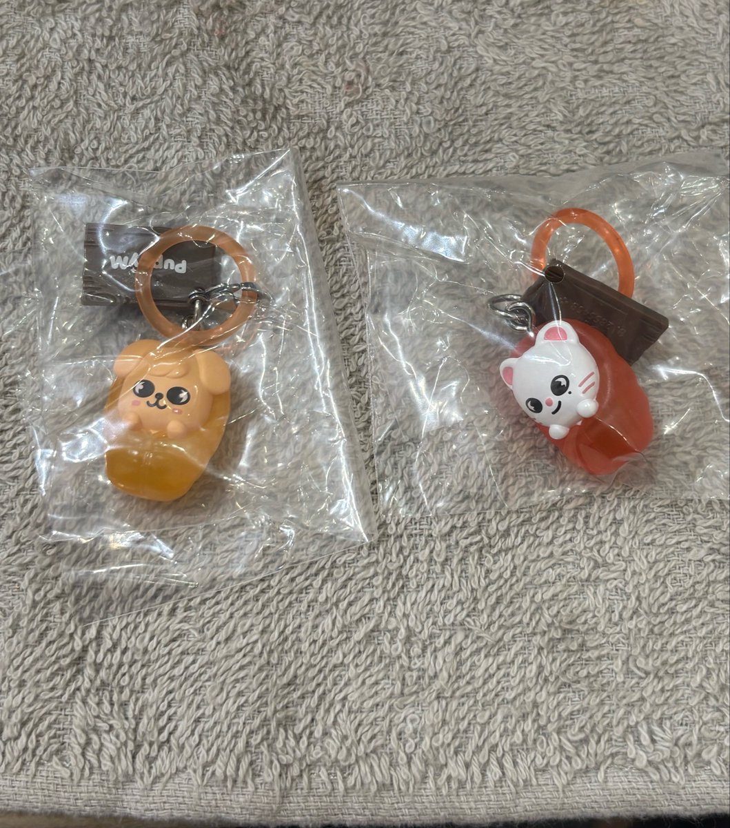 04tr__1007's tweet photo. Straykids スキズ 交換 SKZOO めじるしアクセサリー ソロキャンプ 

【譲】ジニレット🦙 パピーム🐶

【求】クォッカ🐿

郵送での交換希望です📮
お気軽にお声掛けください
よろしくお願いいたします❁⃘*.ﾟ

 #スキズ交換 https://t.co/NFO4XSaZ9u