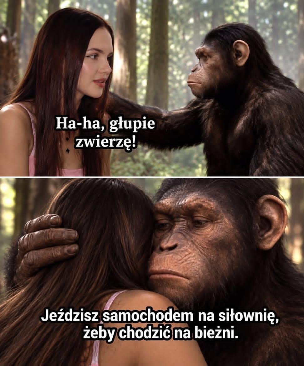 petrus_paulus7's tweet photo. Ewolucja. Co o niej sądzicie? 😎 https://t.co/WXoSbfiqPW