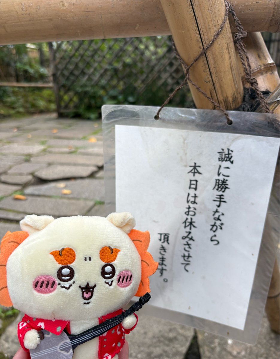 mrimon41's tweet photo. 泣きたい時もあるよね、シサ https://t.co/9sk4OCpn7O