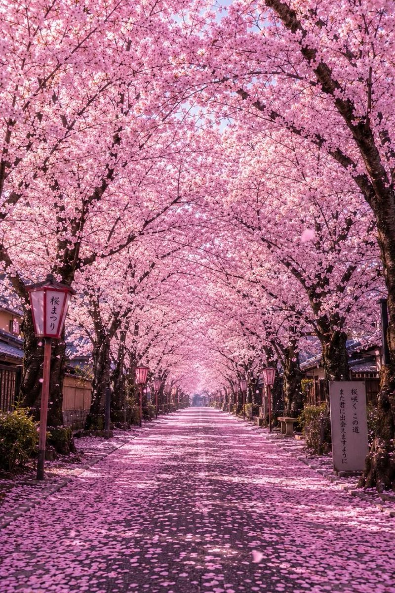 viewsoff's tweet photo. Japan 🇯🇵 https://t.co/cFR8ELWvOU