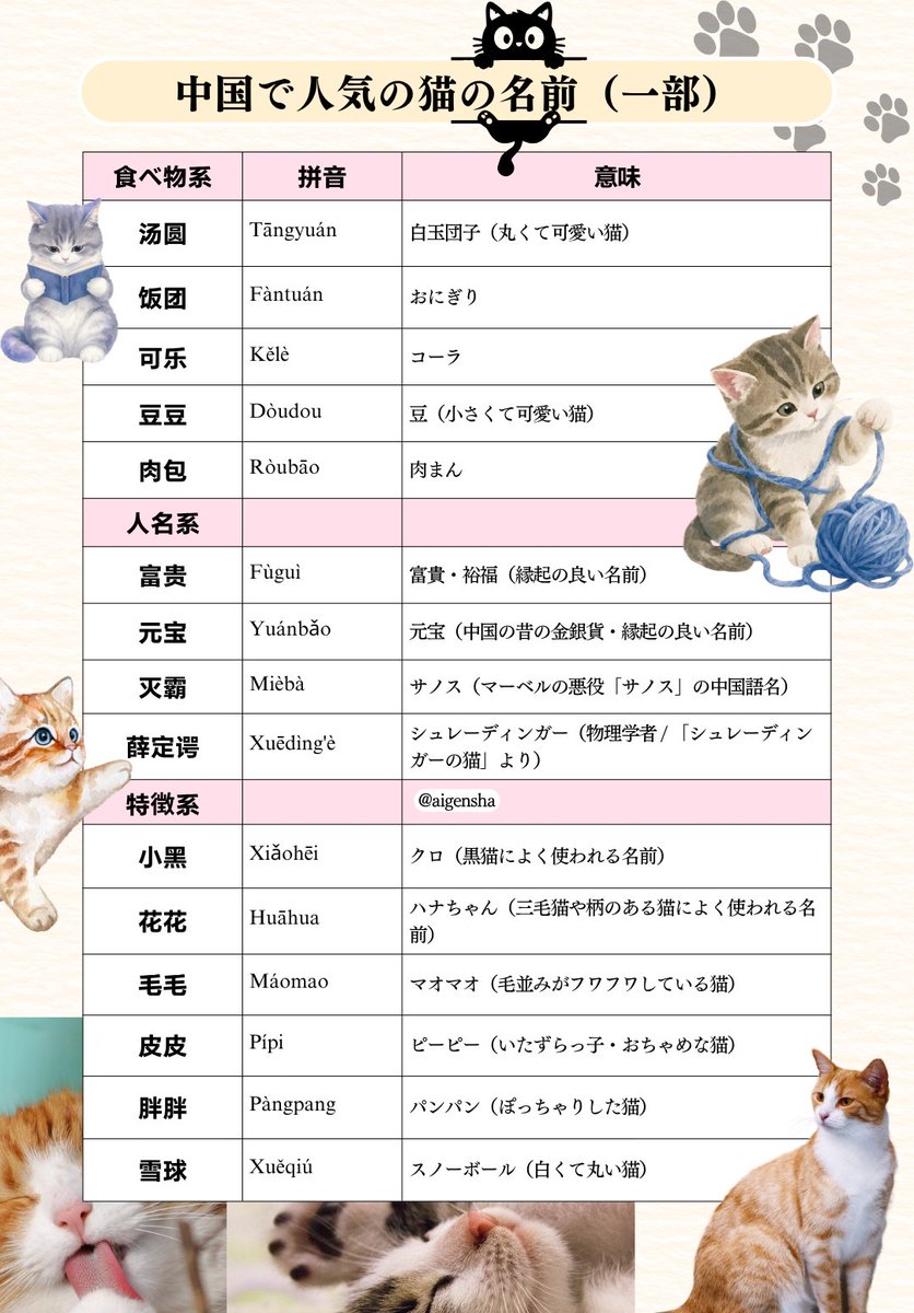aigensha's tweet photo. 【 🐈‍⬛中国で人気の猫の名前🐈】

中国で猫ちゃんにはどんな名前を付けているのか、その意味もあわせて見てみましょう😻

＼『聴く中国語』メールマガジン／ 
中国語で読む注目ニュースや、１分中国語クイズ、 テーマ別中国語単語集など、週に3回配信中！
楽しくさくっと中国語を学べます◎ 
ご登録はこちらから⇩
https://t.co/NiJzVUe28i 

#聴く中国語 #中国語学習 #中国語勉強中