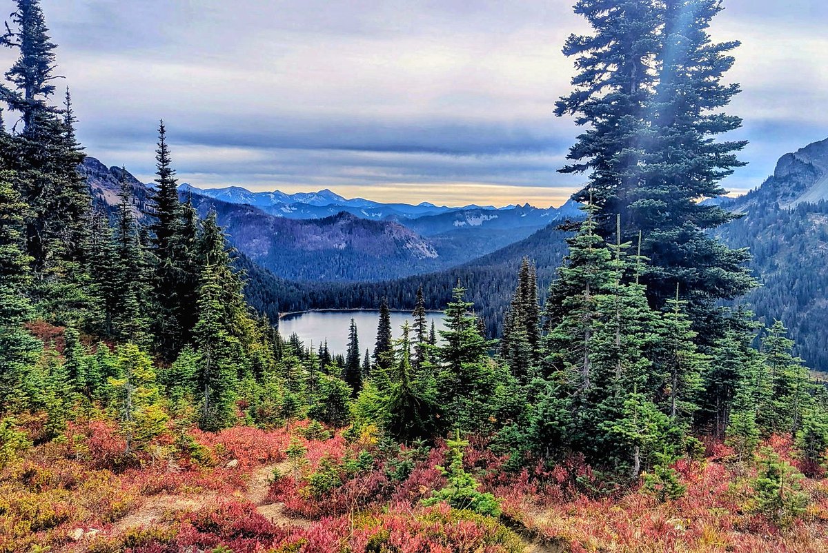 HeathirMc's tweet photo. Check out my daughter's shots on the Naches Peak Loop!!! So beautiful!!! #WAwx #fallcolor #nachespeakloop #autumnintheCascades πΈ Annie McKee https://t.co/edYsweBnQr
