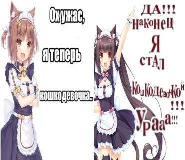 4ucdp's tweet photo. https://t.co/SQHkMvduap