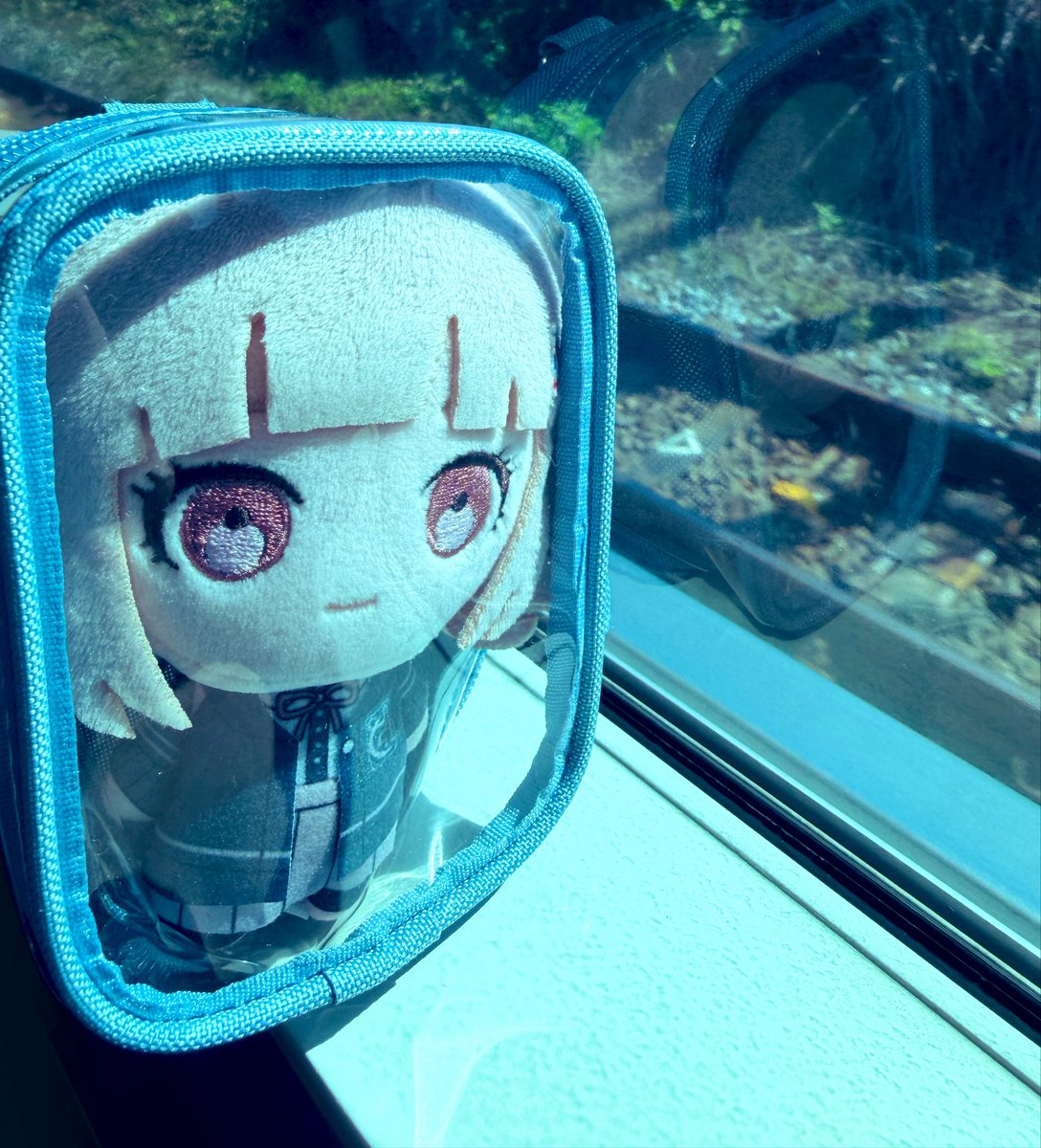 T25Tk's tweet photo. おでかけだよ 七海 https://t.co/pxXZekZnf7