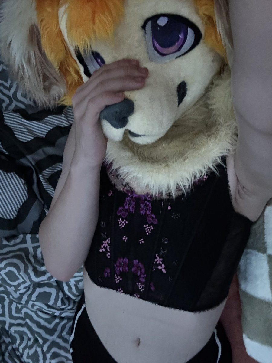 ADMaplesSyrup's tweet photo. Average at home fit 🫣                                    
#femboy #furry #nsfwㅤ https://t.co/Jb1s01DzNE