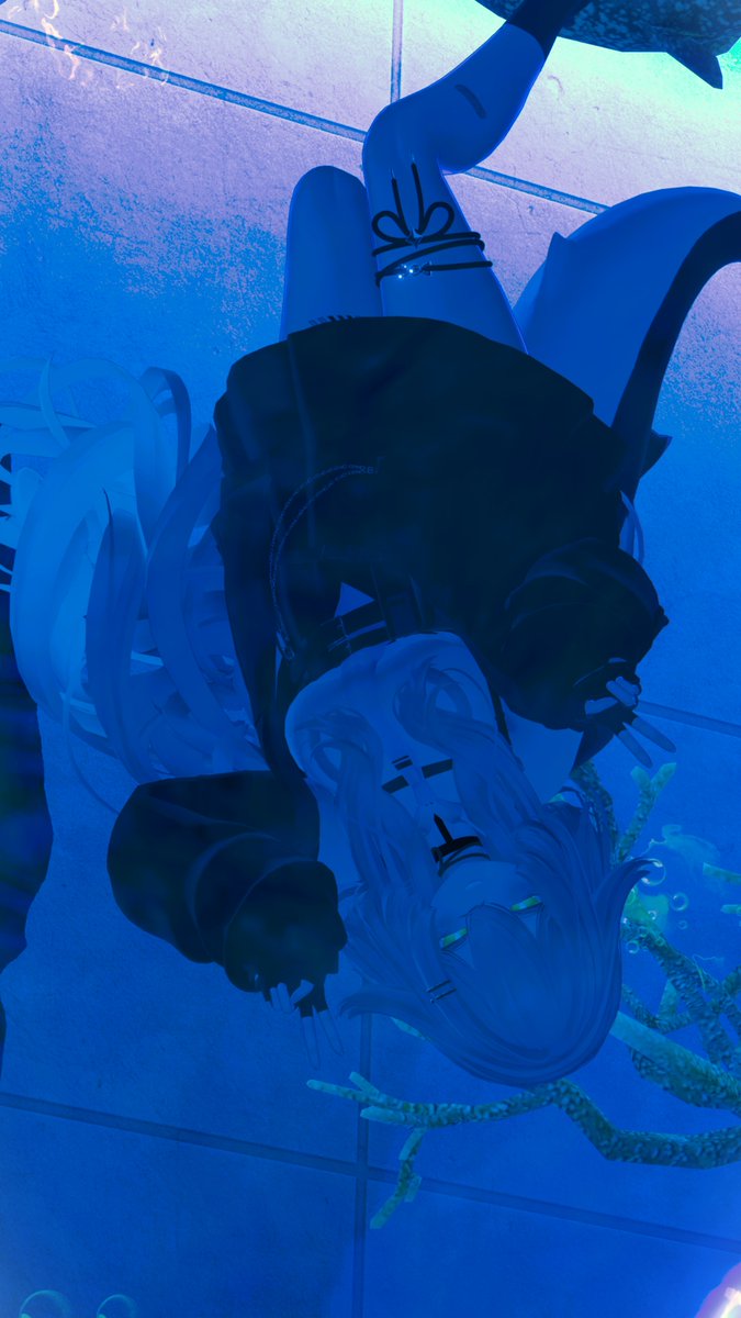 Isaka_vrc's tweet photo. 水槽のルルネ https://t.co/hvn34qfsfv