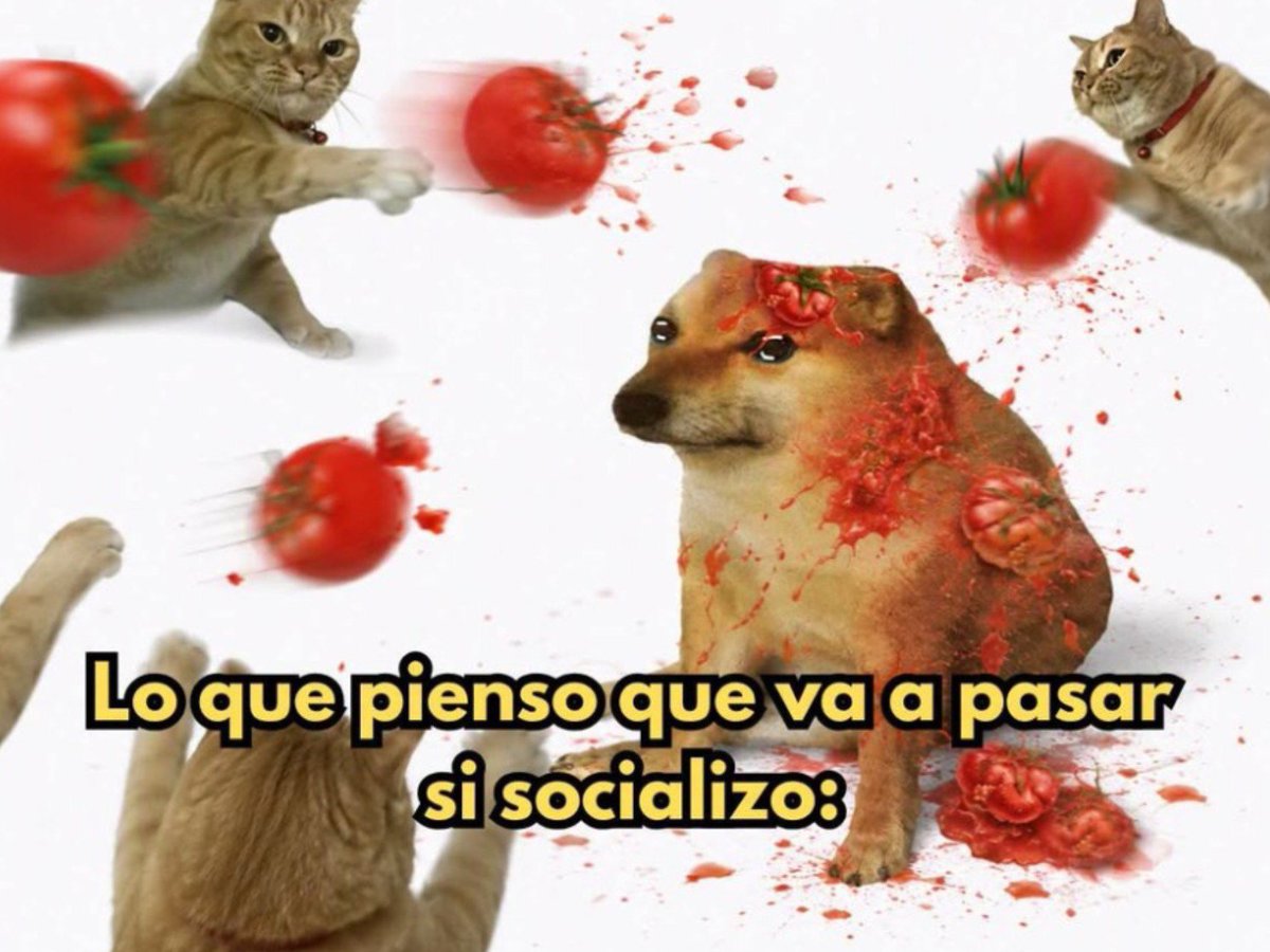 Mateosebas3tvo tweet picture