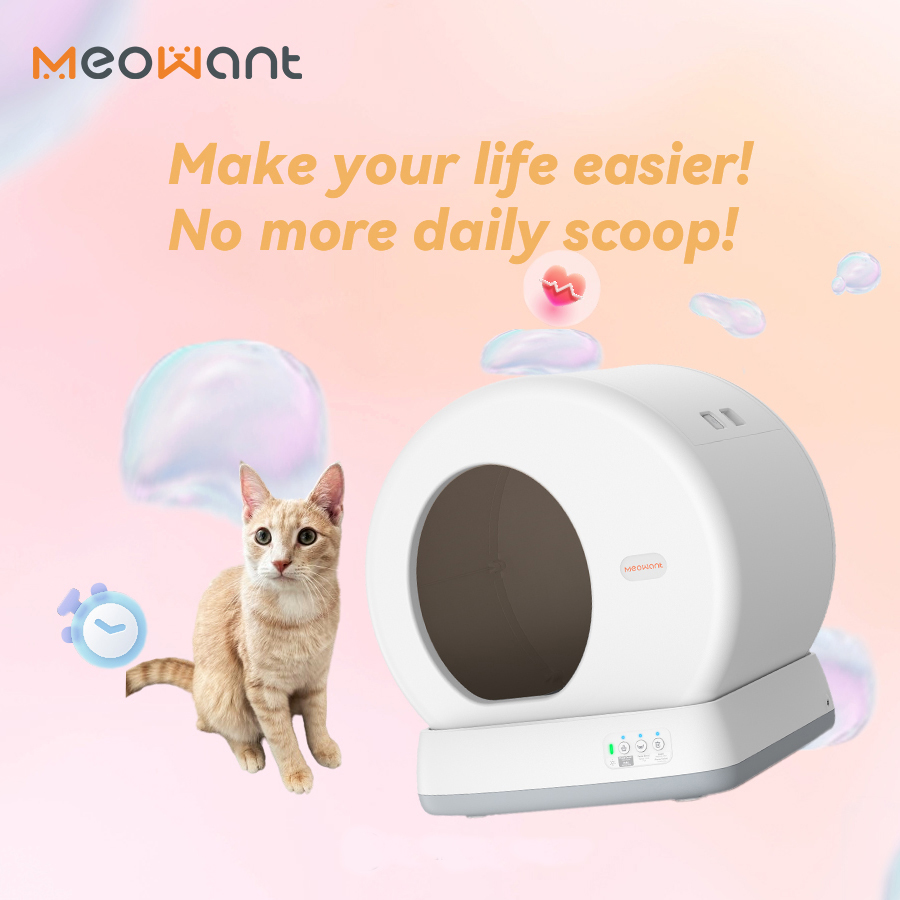 TreeFinance's tweet photo. Cat parents, this is worth a look. 🐱✨

Meowant makes self-cleaning litter boxes, automatic feeders, water fountains &amp; more to make pet care a little easier.

Less cleanup, more cat time. ❤️👇
https://t.co/XtWPT3cK8y https://t.co/B0KmkH9B9L