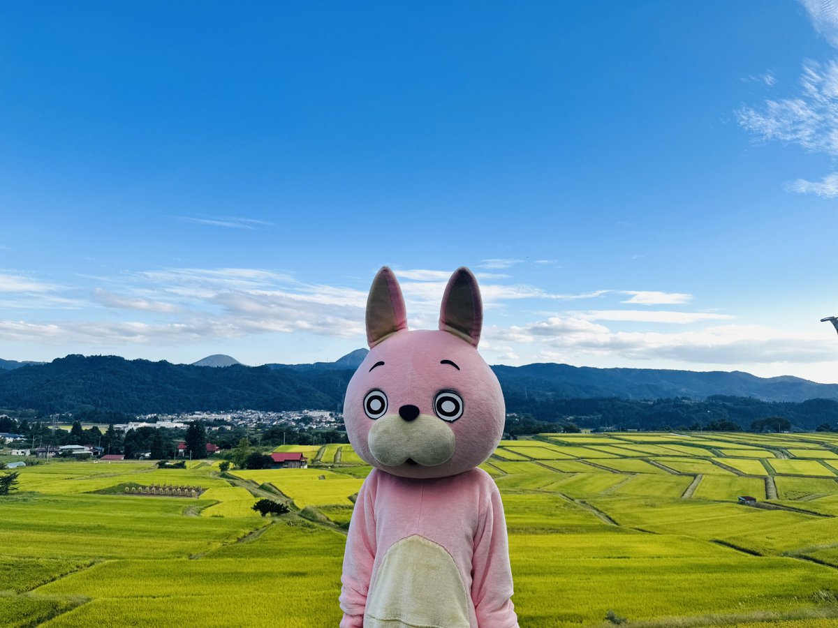 momoiro_usahi's tweet photo. テレビ電話会議の背景みたいになってしまったけど、こちら朝日町の椹平の棚田です。 https://t.co/o0FIA5nPjx