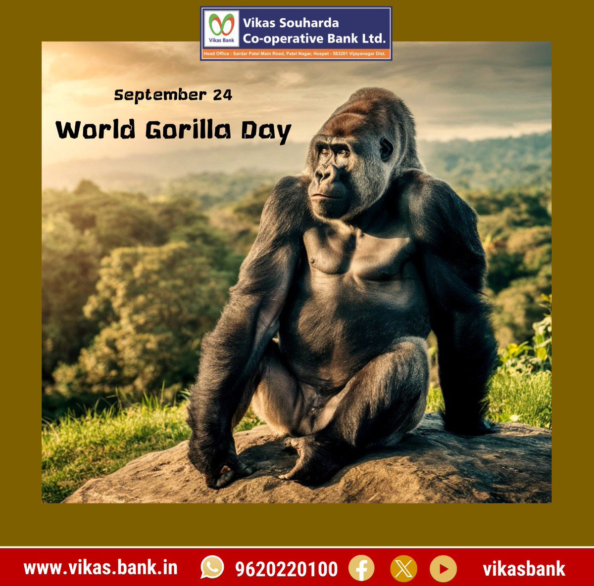 VikasBank's tweet photo. Protecting gorillas means protecting biodiversity and the delicate balance of our ecosystems. Let’s stand together for wildlife conservation and a healthier planet. 🦍🌿
#WorldGorillaDay #WildlifeConservation #SaveWildlife #Biodiversity #ProtectNature #VikasBank https://t.co/YfZvqMQP6b