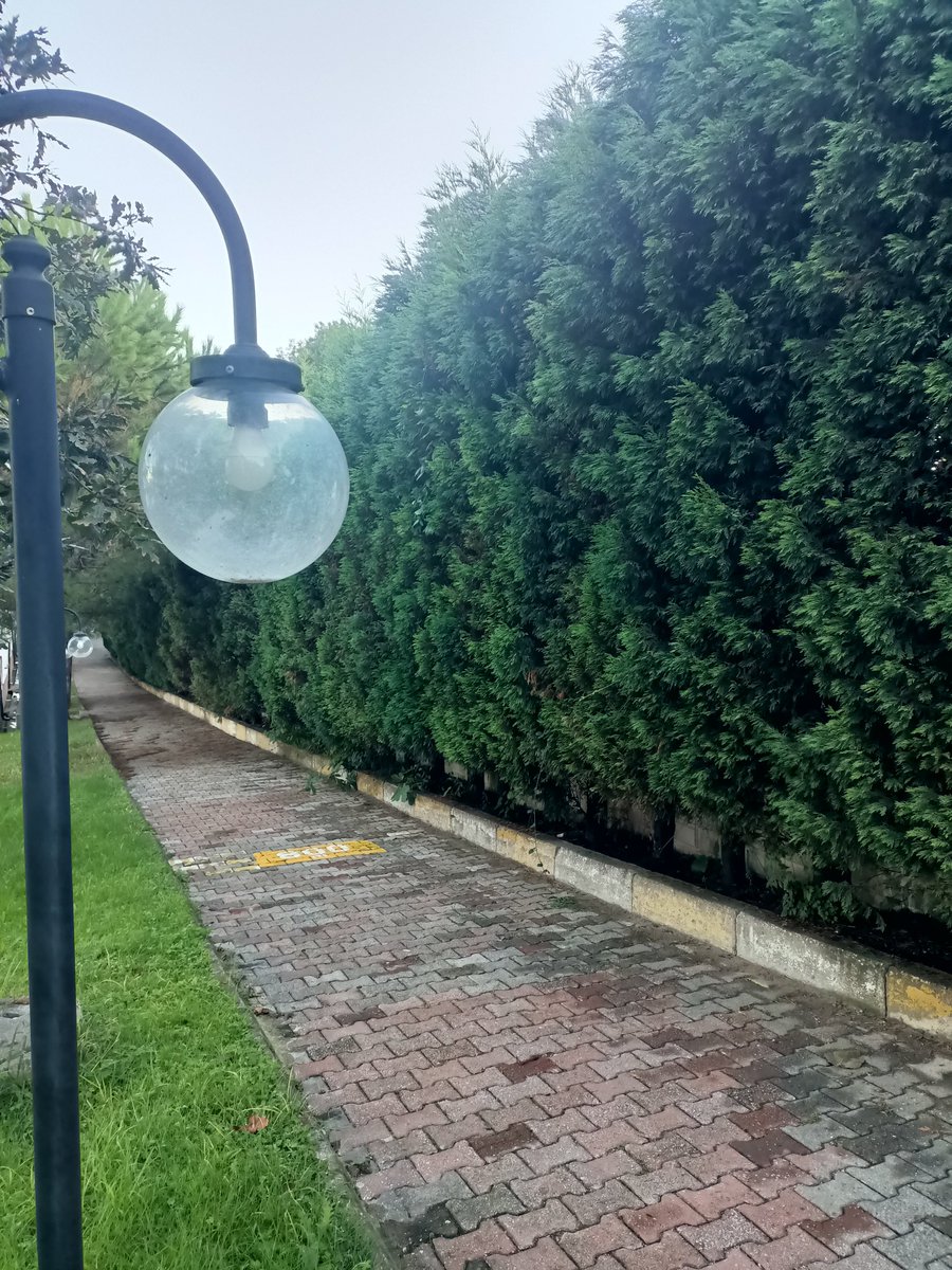 1Merhale's tweet photo. Ciğerlerimin bayram ettiği bir yerde tatildeyim sabahin nuru ayrı yol ayrı güzel lütfuna sonsuz şükürler olsun.
Ya Latif Yà Senedi🕊️ https://t.co/aTWbkhqZp5