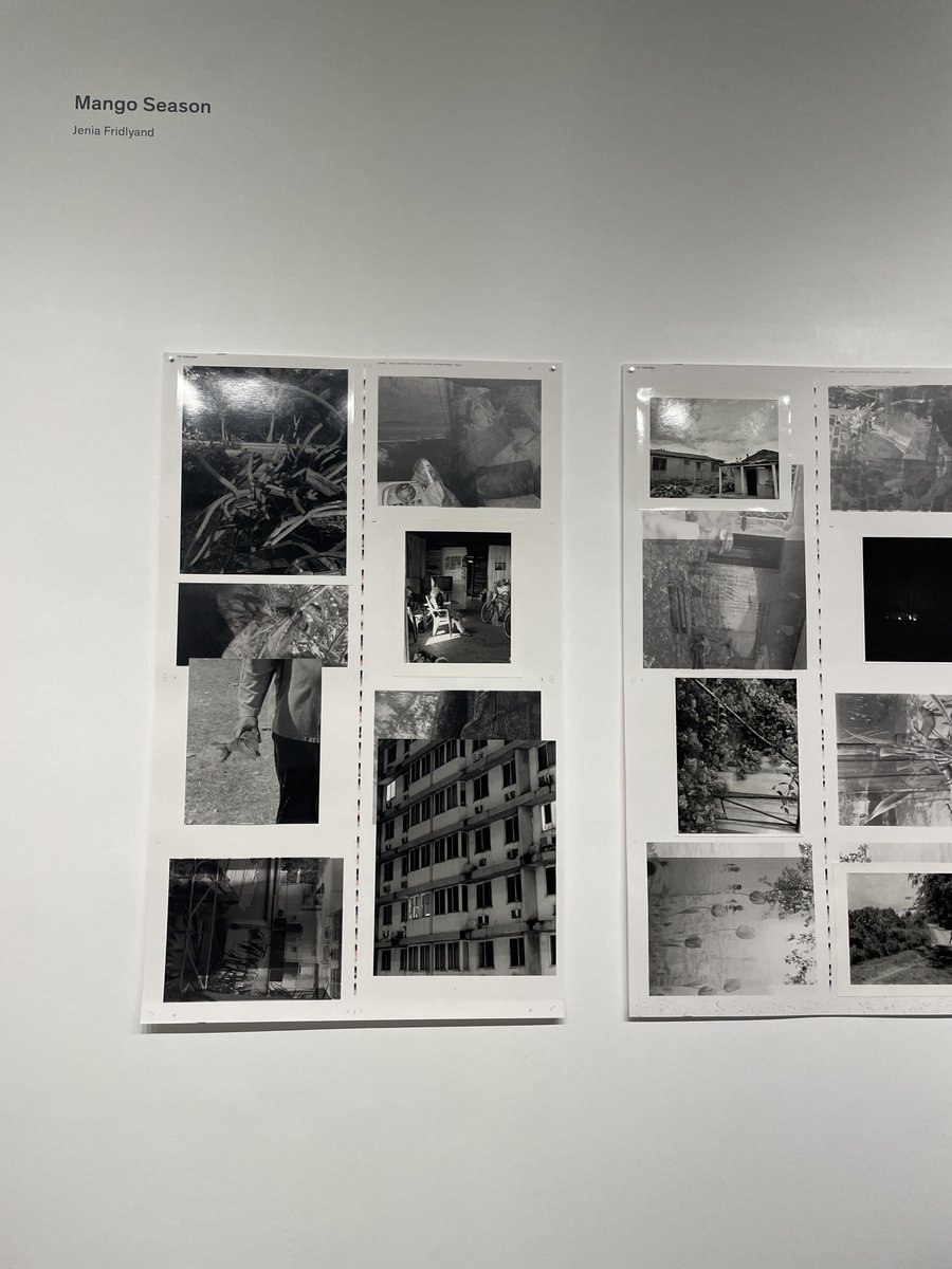 Latte_elfa's tweet photo. Step into the world of Penumbra,where light and shadow meet in a hazy space,and traces left behind by time unfold through every page. https://t.co/ORw8OJ6i9s