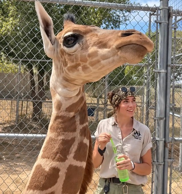 NeroCrypt93's tweet photo. We’ve always known Milani was pretty special. 💜🦒 Turns out, a whole community agrees!

Join us LIVE with Milani TODAY at 1 PM CT with 
@Support_Milani https://t.co/O9PNqo2GzZ