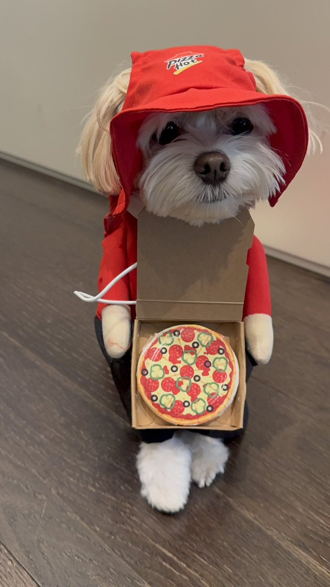 1127message's tweet photo. 260924 CHANYEOL 🍒💭

“Who ordered pizza?”

#찬열버블 https://t.co/wlnWMH9aHG