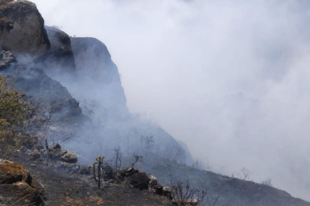 COENPeru's tweet photo. Esta tarde fue controlado el #IncendioForestal iniciado en el C. P. Pacomarca, distrito de #Ocoyo, provincia de Huaytará (Huancavelica). Las autoridades locales iniciaron la #EDAN sin reporte de daños a la población. https://t.co/hs4qrQ2grf