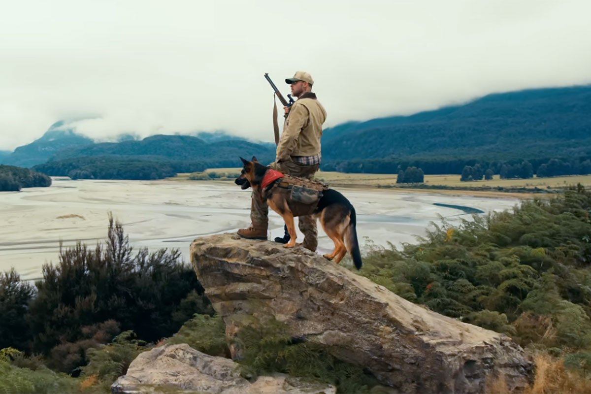 UrAverageFG7's tweet photo. #HeartOfTheBeast wasn't bad, just questionably unoriginal. The best part about the entire film is the ending, trust.

⭐️⭐️⭐️/5 https://t.co/74GtUht2JR