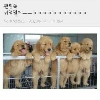 meimayv's tweet photo. 맨왼쪽 귀척 쩔어 ㅡㅡ https://t.co/8xXSVpoIWn