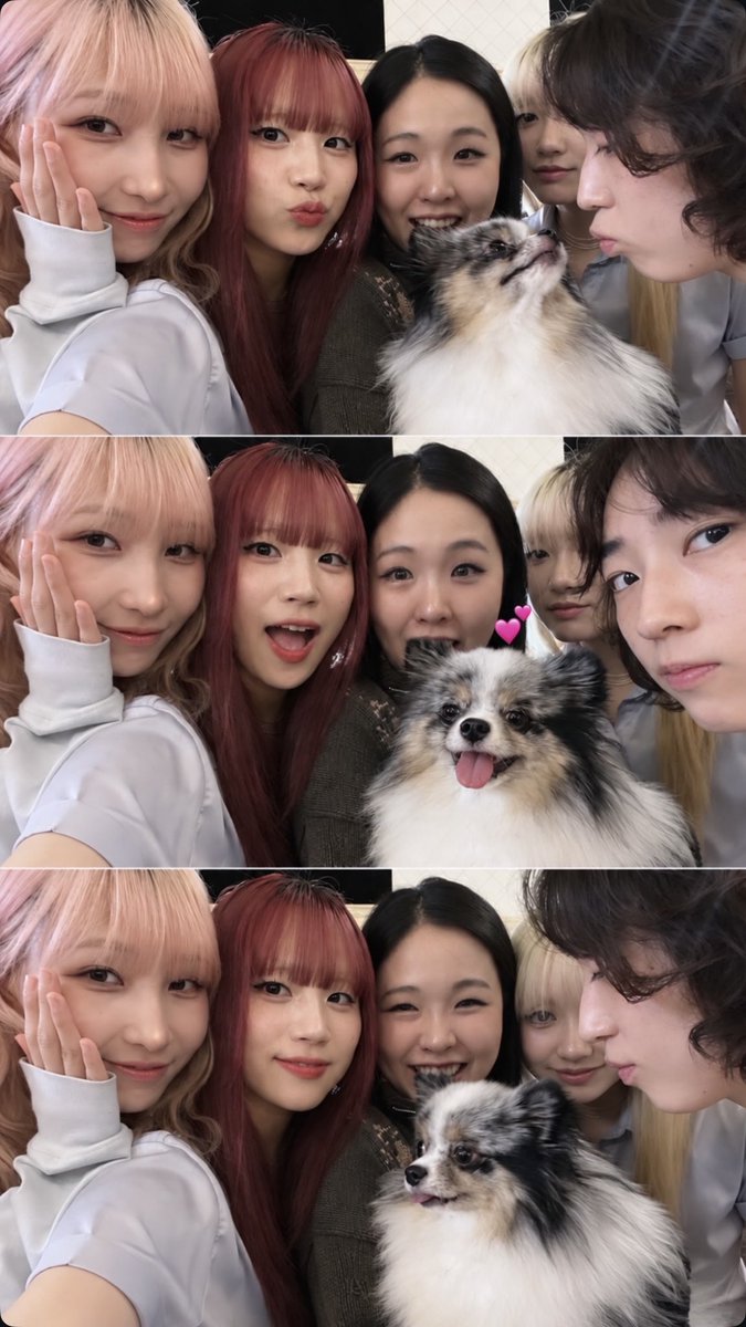meimayv's tweet photo. 맨왼쪽 귀척 쩔어 ㅡㅡ https://t.co/8xXSVpoIWn