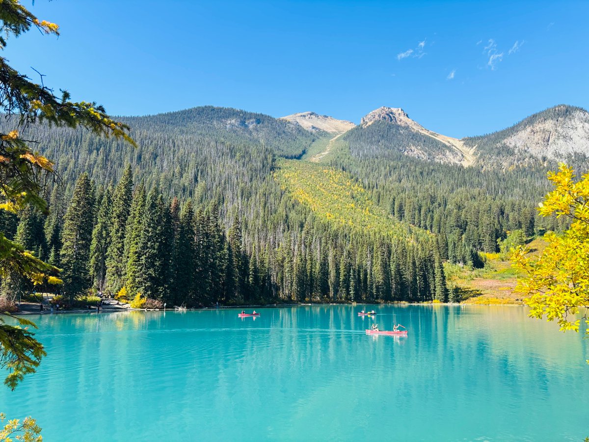 FoxLeung1989's tweet photo. エメラルド湖の水は、すごく素敵です。
The color of Emerald Lake is great, too
#連休 
#旅行　
#カナダ好き
#旅行好きな人と繋がりたい https://t.co/WXkqpFT7Xp