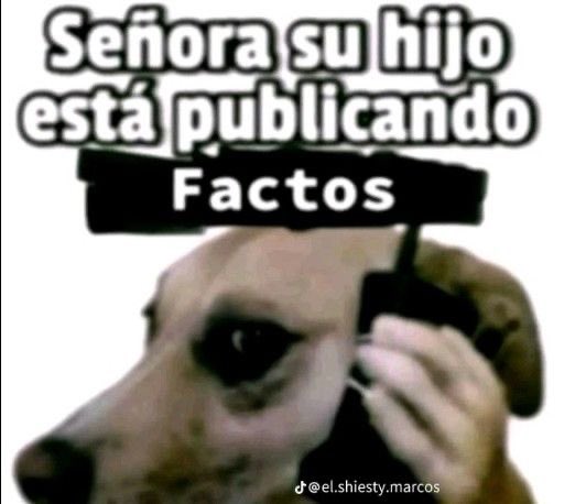 Infiltrado456's tweet photo. @JustEdwin28 Altooo chaaaad @Serpias https://t.co/aK1aFIFQhU