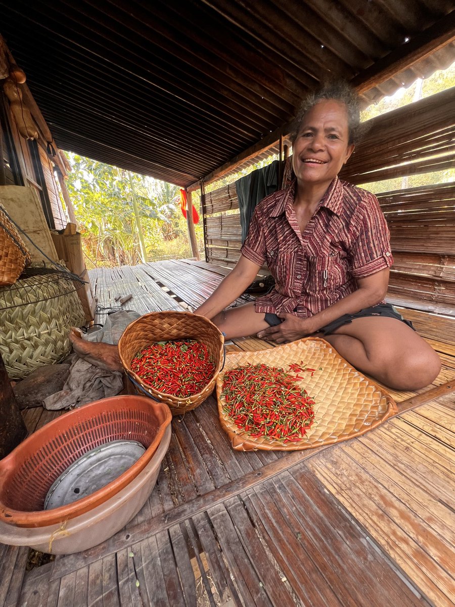 BuruhSiluman's tweet photo. Selamat Hari Tani Nasional! Ingat, banyak perempuan petani yang belum diakui perannya sebagai petani (kebanyakan dilihat hny „membantu“ suami atau keluarga). Ini foto seorang mama di Flores memamerkan hasil cabenya dr lahan keluarga yg kemudian diklaim negara sebagai hutan negara https://t.co/f8GKemwfG0