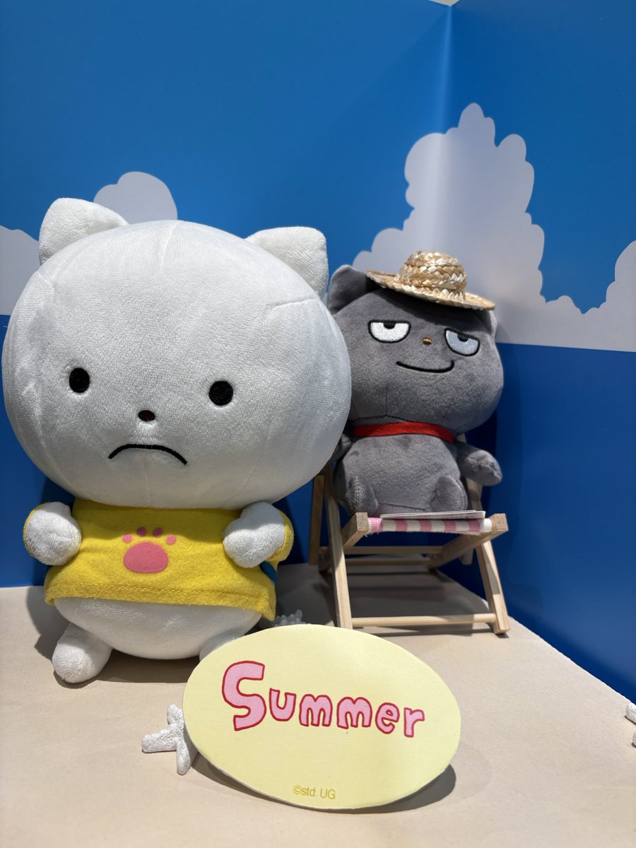 saenekochan's tweet photo. 今年の夏の思い出🐱🌻
さえないちゃんと一緒に、いろんなところに行けて楽しかったなぁ。

今年の夏も楽しかった！
来年の夏も一緒に過ごそうね🐾 https://t.co/nHcUYzVROp