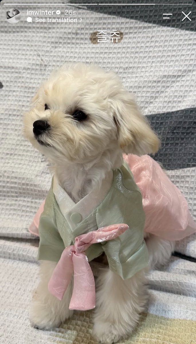 aespapic's tweet photo. WINTER POSTED PPONYO IN A HANBOK FOR CHUSEOK 😭💔 https://t.co/3rxAoZpbGs