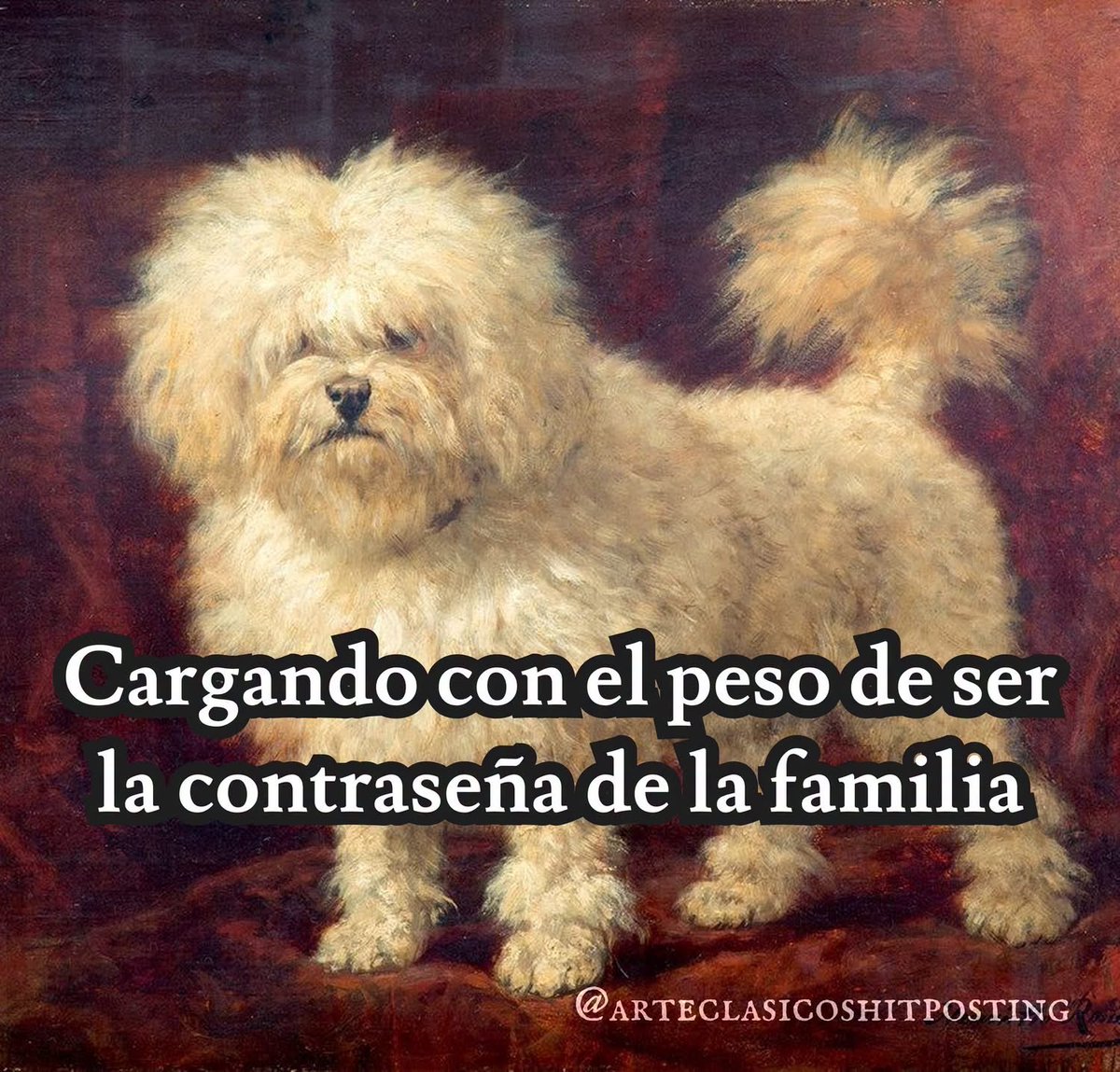 Charofernandezr's tweet photo. 🤣😂 https://t.co/zwlcigC584