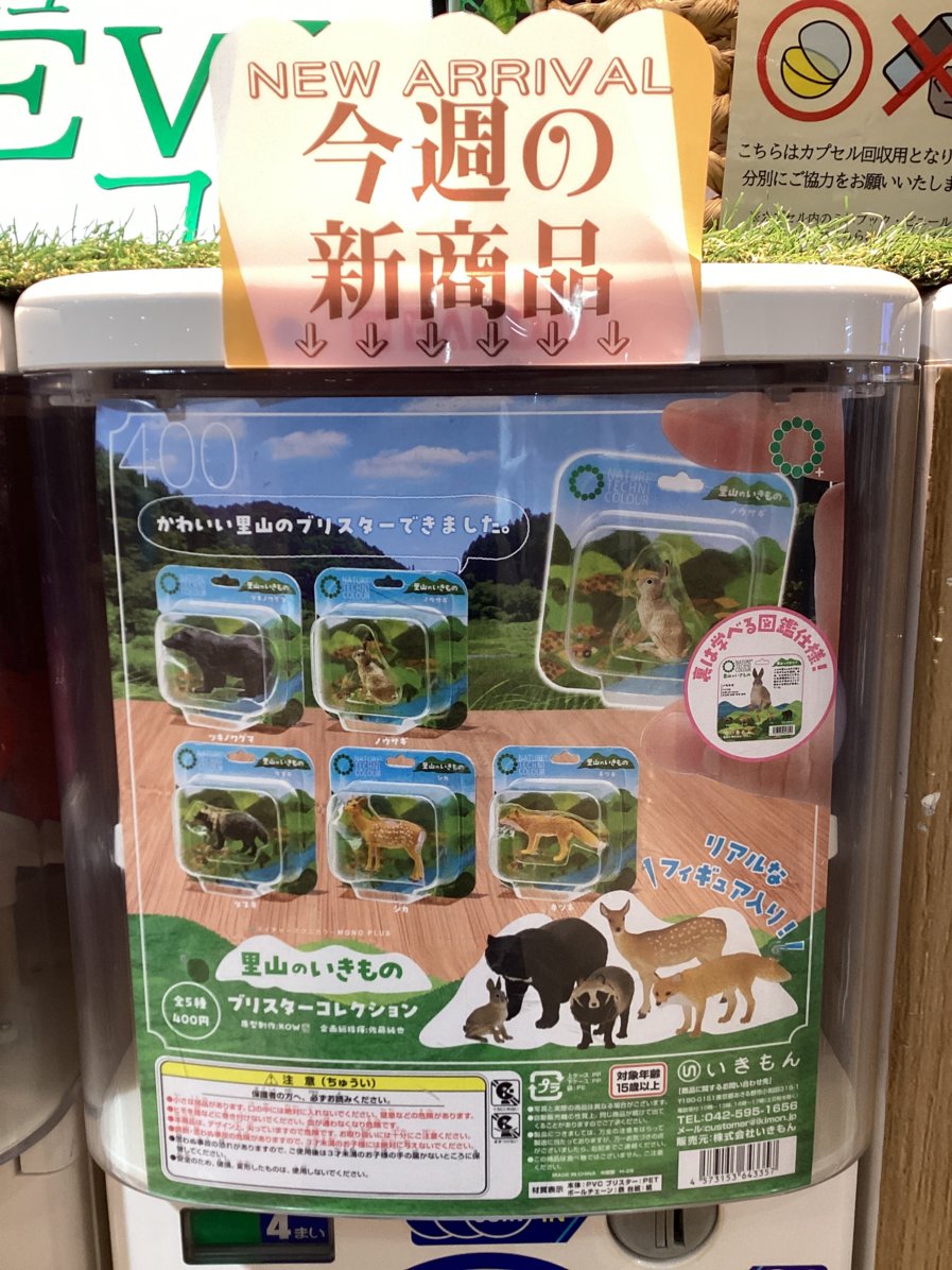 gashacoco さんすて福山の入荷情報の写真