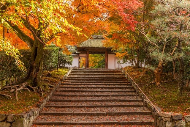 kyoto_triptime's tweet photo. 京都の秋・安楽寺
疏水から少し入れば静かな寺域。秋の光が山門の木々に差し込む。境内の素朴さが心にやさしい。
おすすめ：穏やかに歩きたい人・静かな寺が好きな人
＃京都　＃安楽寺　＃静かな秋　＃そぞろ歩き　＃旅行好き https://t.co/k6aN64UmN2