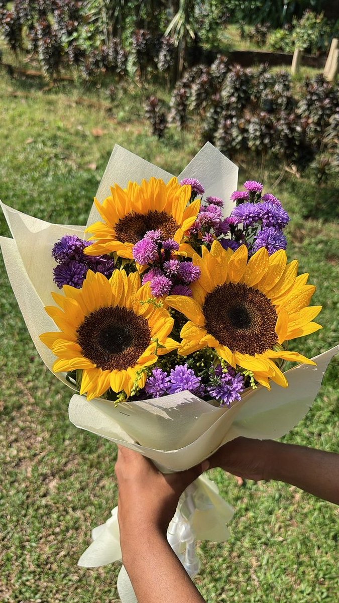 sunflowerchives's tweet photo. Fresh stems and pretty petals. https://t.co/2xOcYqZONO