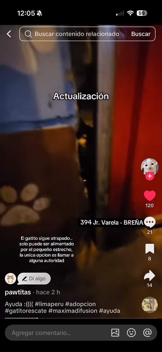 piolito18's tweet photo. Ayuda por favor al costado de la veterinaria “patitas de breña” hay un basurero con portón, en él está un gatito encerrado que no puede salir 😔 
Jr Varela 394 ayuda para este pequeño https://t.co/sVPlWX1eHb