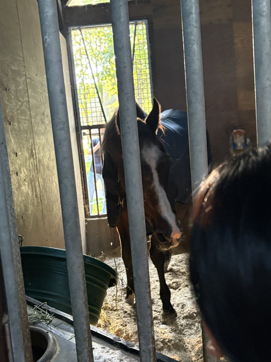 LOE_Bara's tweet photo. 香港マイルG1の生ける伝説と、21世紀日本競馬史の偉大なる母に会ってきました https://t.co/cuay9kQPdF