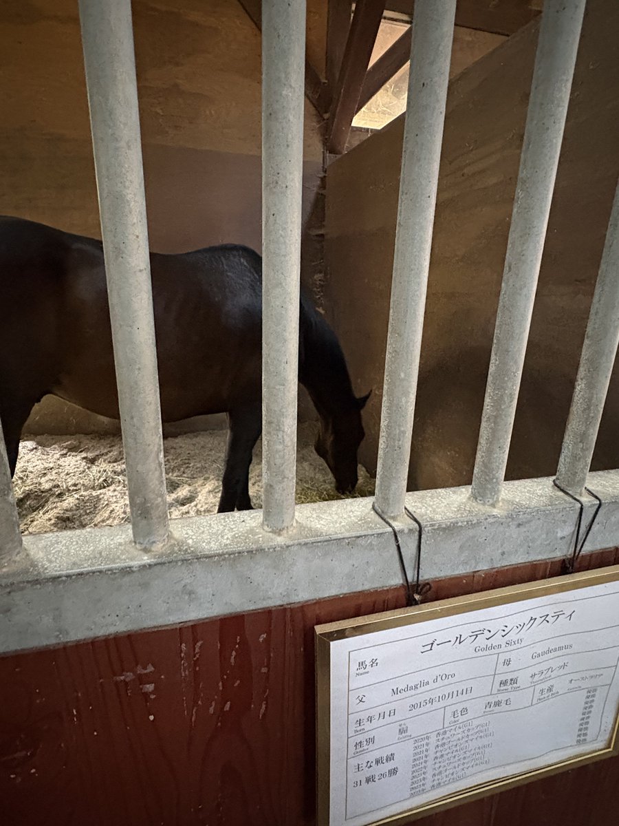 LOE_Bara's tweet photo. 香港マイルG1の生ける伝説と、21世紀日本競馬史の偉大なる母に会ってきました https://t.co/cuay9kQPdF
