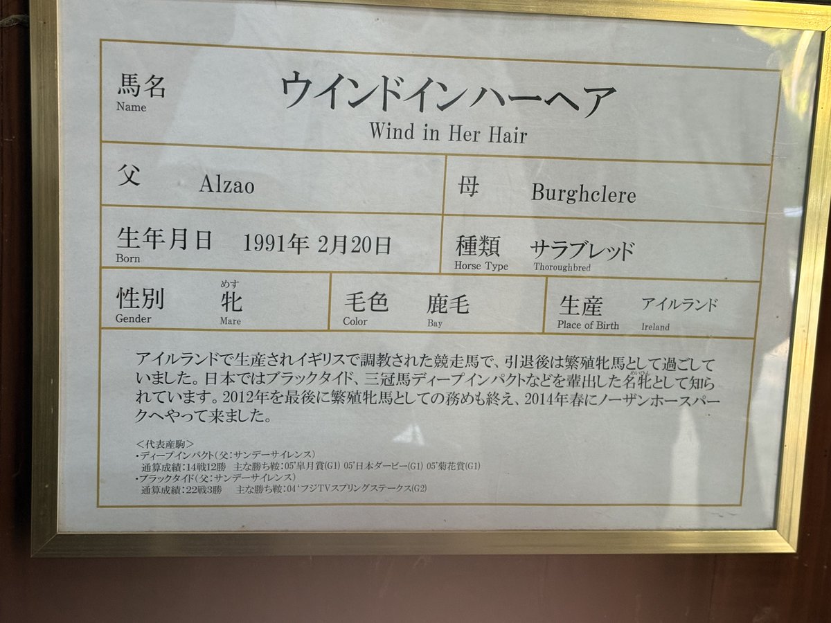 LOE_Bara's tweet photo. 香港マイルG1の生ける伝説と、21世紀日本競馬史の偉大なる母に会ってきました https://t.co/cuay9kQPdF