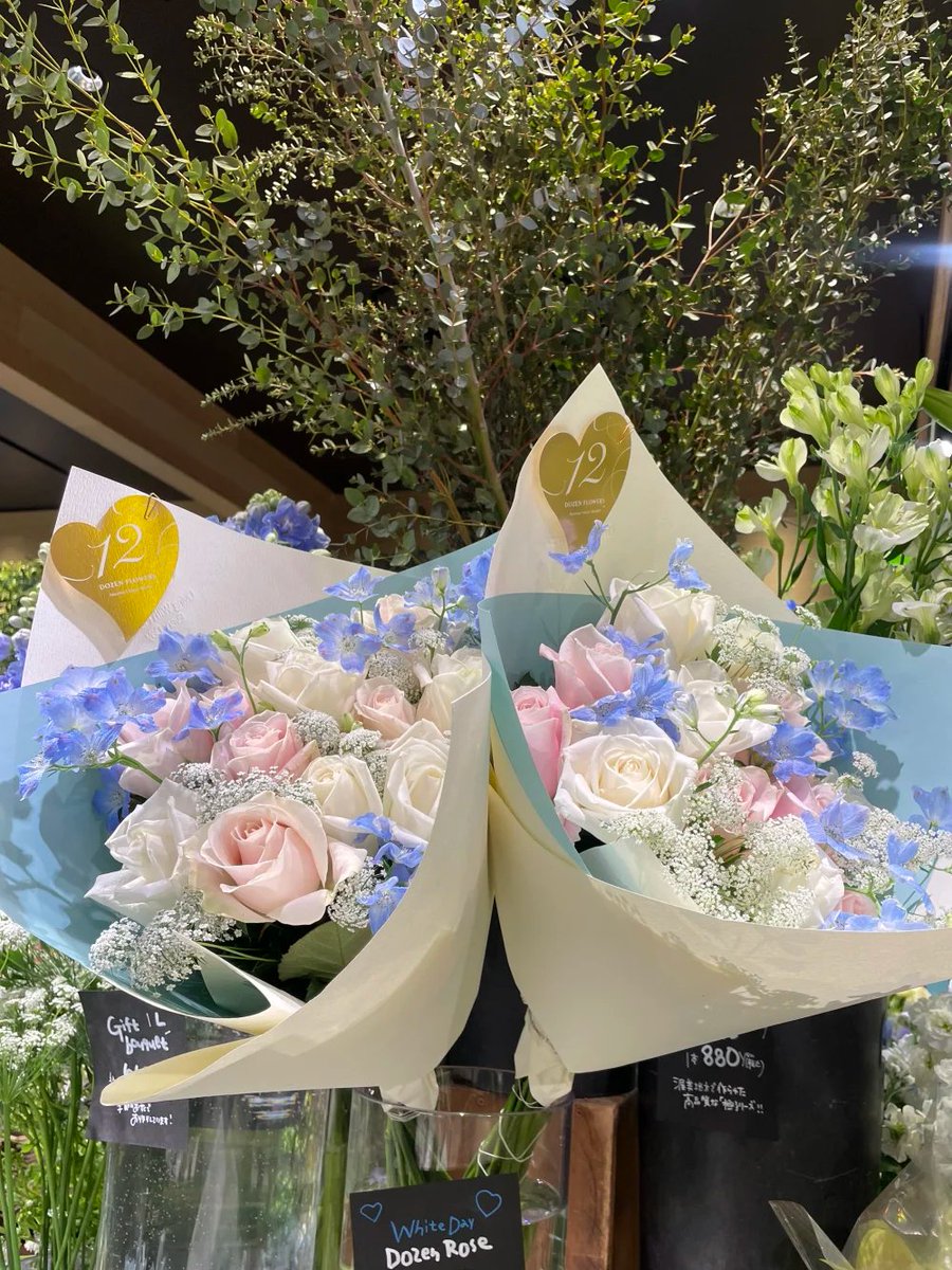 Velvetokok's tweet photo. ここのお花、すごく綺麗で大好きです https://t.co/R3ouxZNMZh