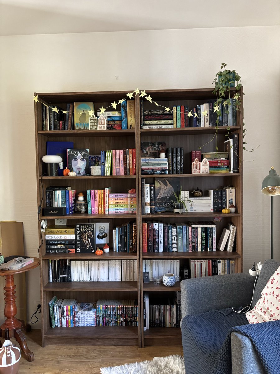 latintrees_'s tweet photo. I finally did my bookshelves !! ( adding a cat to the soup cause is smol i love him ) https://t.co/8JNY1P6lHz