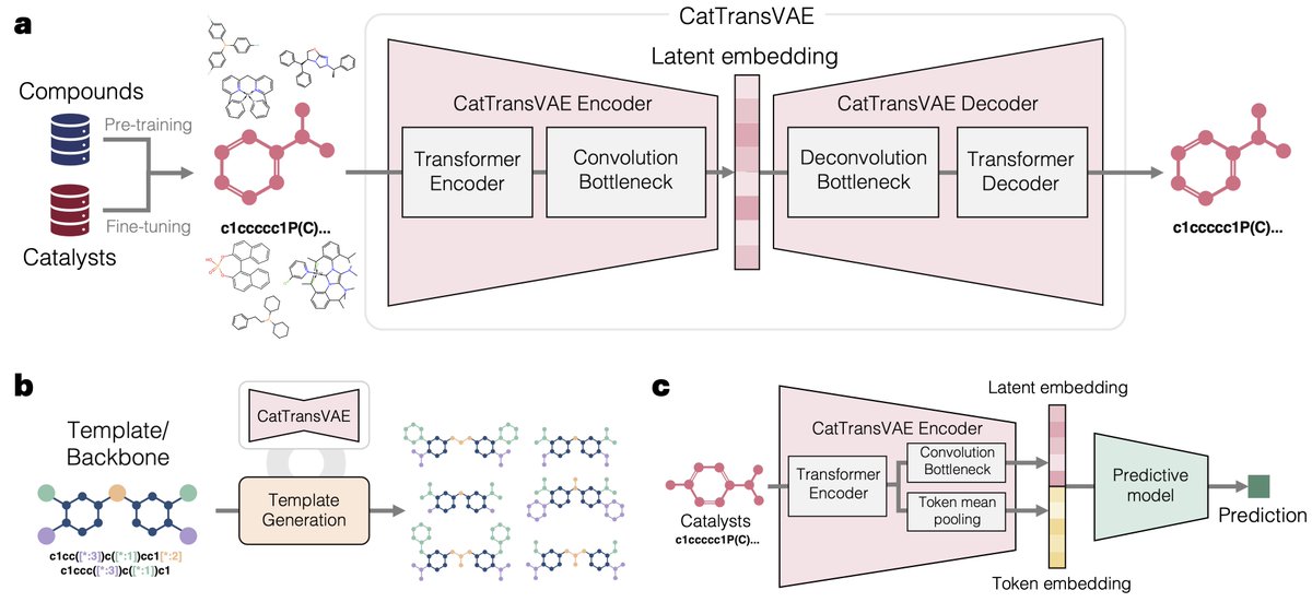 appaeak's tweet photo. Our paper, #CatTransVAE, a catalyst-specialized chemical language model with template-guided generation framework for catalyst design and discovery, is now published in Advanced Intelligent Discovery! @AdvPortfolio @ohuelab ⚗️💡⚙️  

📄 Read paper here: https://t.co/7D6shNrooP https://t.co/gHBOTNyqAR