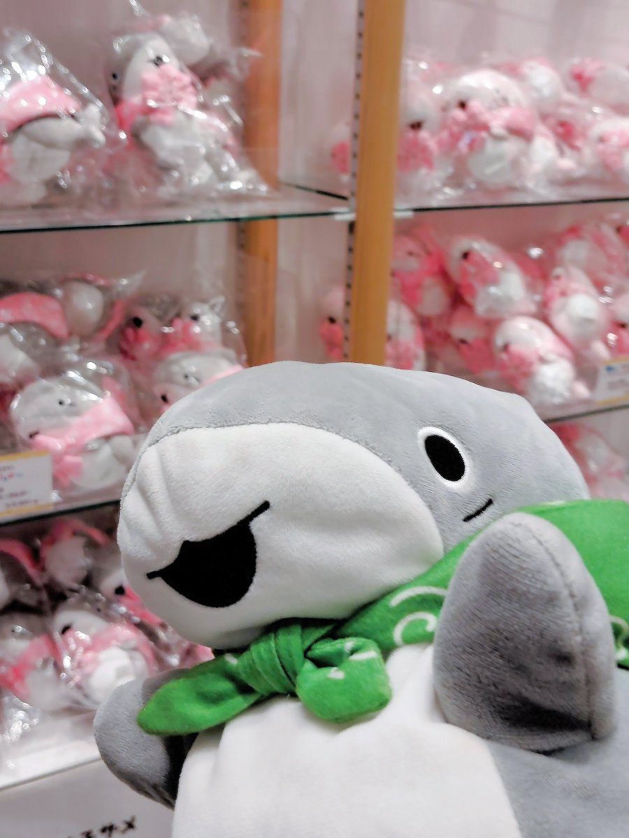 MIPPIYO's tweet photo. さくら子ザメグッズに囲まれて幸せそうな子ザメさんと張り切ってる子ザメさん🦈
買い損ねたうるうるアイズセット見つけたので買っちゃった〜嬉しい🎶
#おでかけ子ザメ
#おでかけ子ザメとおでかけ
#おいSEAたのSEAサクラタウンさんぽ
#子ザメちゃんおさんぽ中 https://t.co/Jc6KbXfLM2