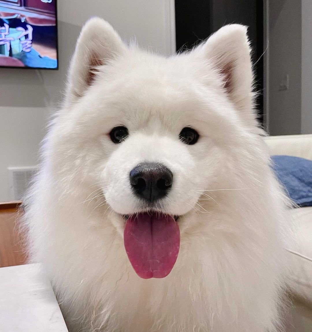 zeeaweles19's tweet photo. น่ารัก ㅠㅠ

#TeeBoonyakait https://t.co/IlzzNFEfLo