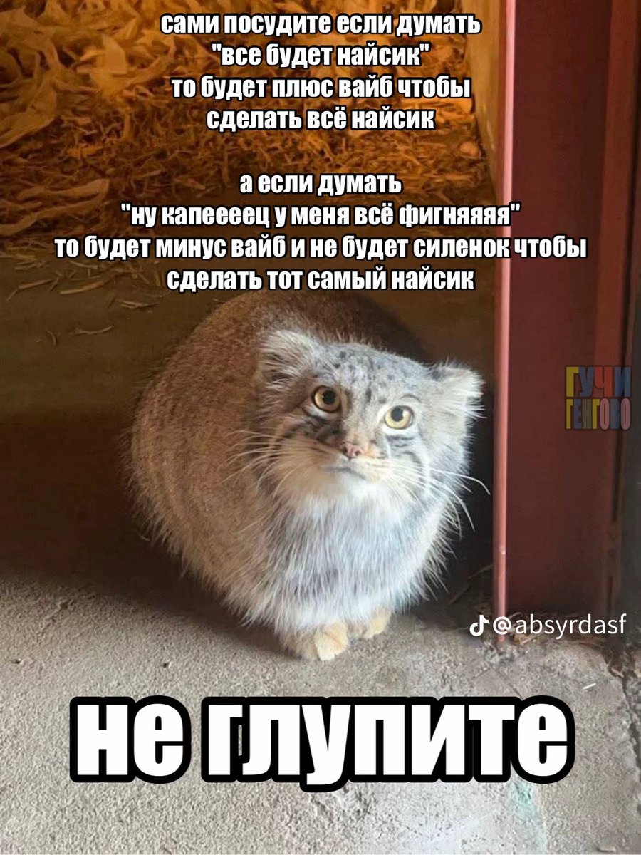 chinchilla356's tweet photo. сегодня дождж....апять...а ничо блин изверите за мат то что мне не нравится дождж...ладно рэбзи фигня вот поучительные картинки https://t.co/sVDjvjAW76