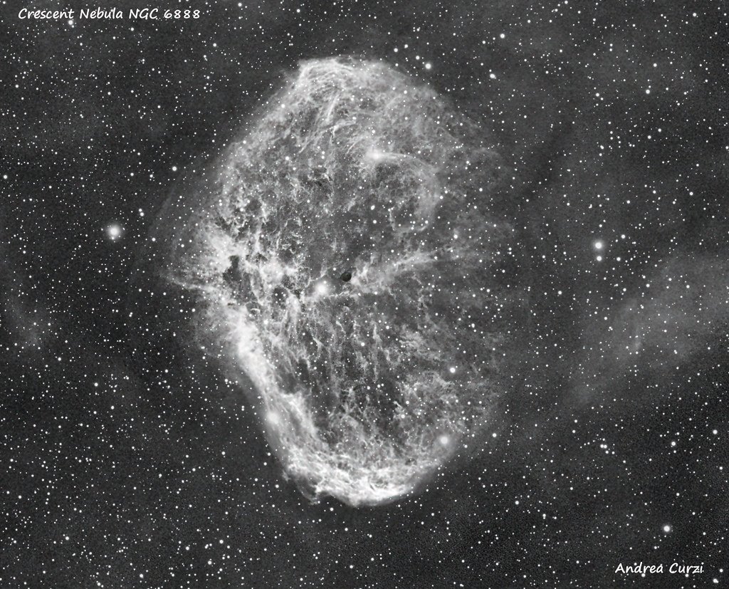 AstroDanziger's tweet photo. Questa meravigliosa immagine scattata dal telescopio spaziale Hubble... Ehm no, sto scherzando. Ricominciamo. 😀

Questa meravigliosa immagine scattata dal sottoscritto, ritrae la splendida nebulosa diffusa NGC6888, anche nota come Crescent Nebula.
Situata nella costellazione del Cigno a circa 4700 anni luce dalla Terra, si tratta di una tipica bolla causata dal vento stellare generata da una stella massiccia, cosiddetta di Wolf-Rayet, la quale si trova all'interno della nebulosa stessa.

Questa stella sarebbe anche la genitrice della nebulosa, costituita per l'appunto dai materiali espulsi dall'astro in questione. Questo vento stellare sarebbe andato poi a collidere col materiale espulso dalla stella stessa, quando raggiunse lo stadio di gigante rossa, all'incirca tra 250.000 e 400.000 anni fa, energizzandolo.

Il risultato, quello che possiamo oggi ammirare, è un guscio gassoso e la presenza di due onde d'urto, che hanno poi interagito col denso mezzo interstellare circostante.

Semplicemente meravigliosa, non trovate anche voi? La nebulosa è decisamente più fotografica che visuale, risultando molto tenue all'osservazione diretta. L'immagine è stata ripresa con la mia strumentazione, un rifrattore quintupletto apocromatico, l'Askar Fra600, una camera monocromatica raffreddata (ASI2600MM Air) e specializzata per la fotografia astronomica e una montatura HEQ5 Pro.

Credit: Andrea Curzi 

Seguitemi sul mio sito:
https://t.co/ETPdHnPk3T

Seguite AstroDanziger sul canale WhatsApp:
https://t.co/rh518sftnx

Il mio romanzo "Kosmos" in vendita in tutti i principali siti e negozi online:
https://t.co/xmeI0dwKjh