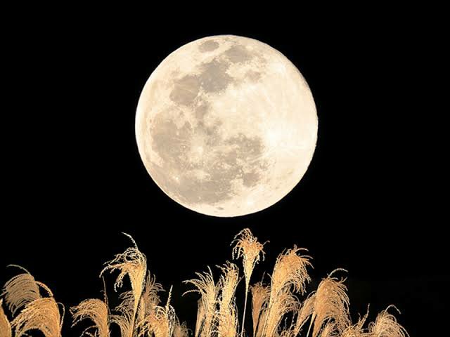 turbo07981460's tweet photo. The harvest moon✨🌕✨
#MidAutumnMoon
#Moonviewing🌝
#Tsukimidango🍡 https://t.co/zpFnIi9A4l