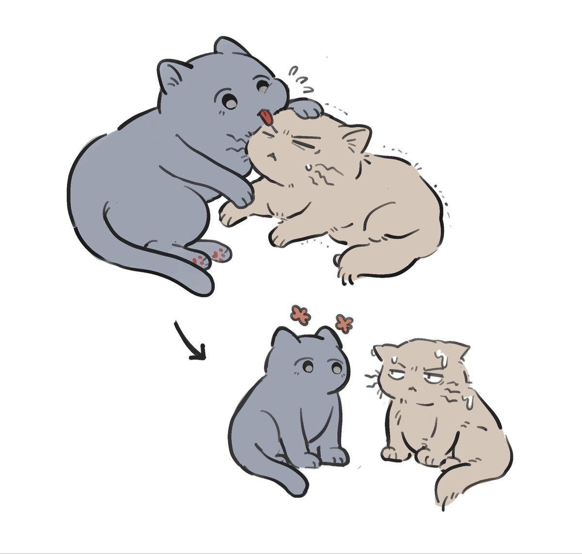 yybbjyy's tweet photo. 🐱 https://t.co/wymvCW2HG7